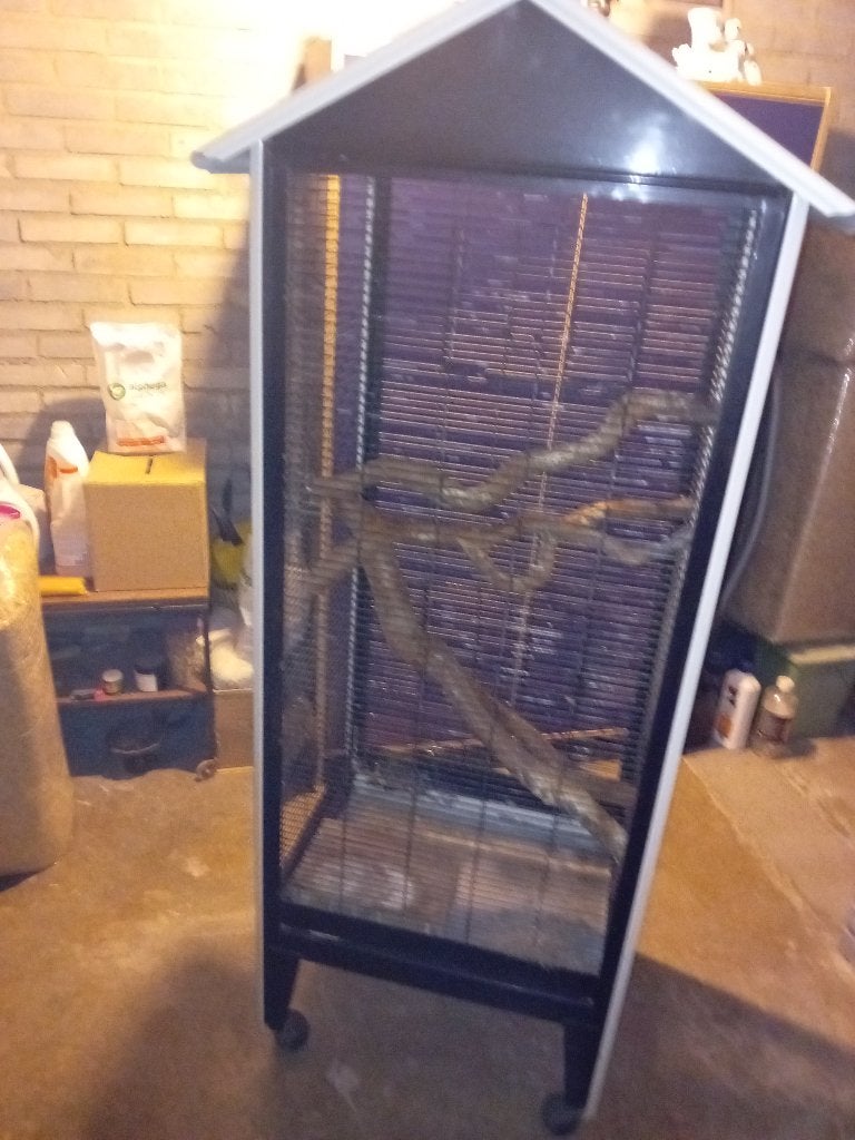 Grote Oude Eekhoorn Kooi, Dieren en Toebehoren, Ophalen, Kooi, Gebruikt, 90 cm of meer