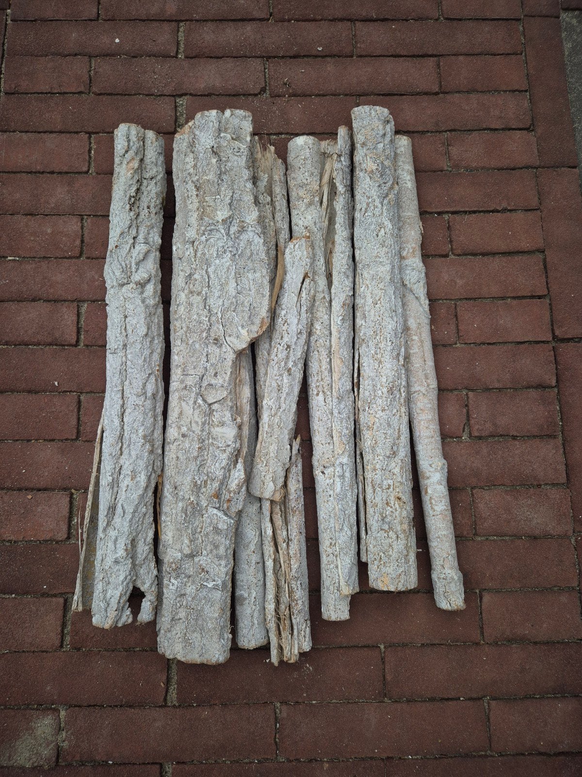 Decoratieve boomschors stukken, Ophalen, Overige houtsoorten, Takken