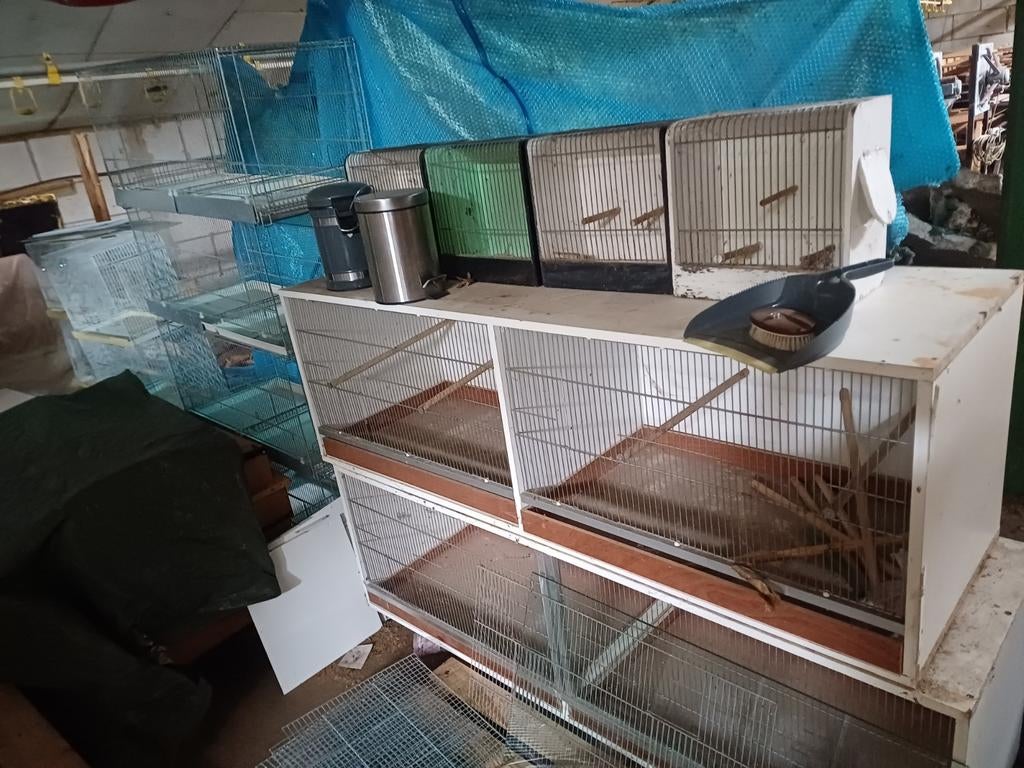Vogel kooien partij, Dieren en Toebehoren, Ophalen of Verzenden, Metaal, Vogelkooi