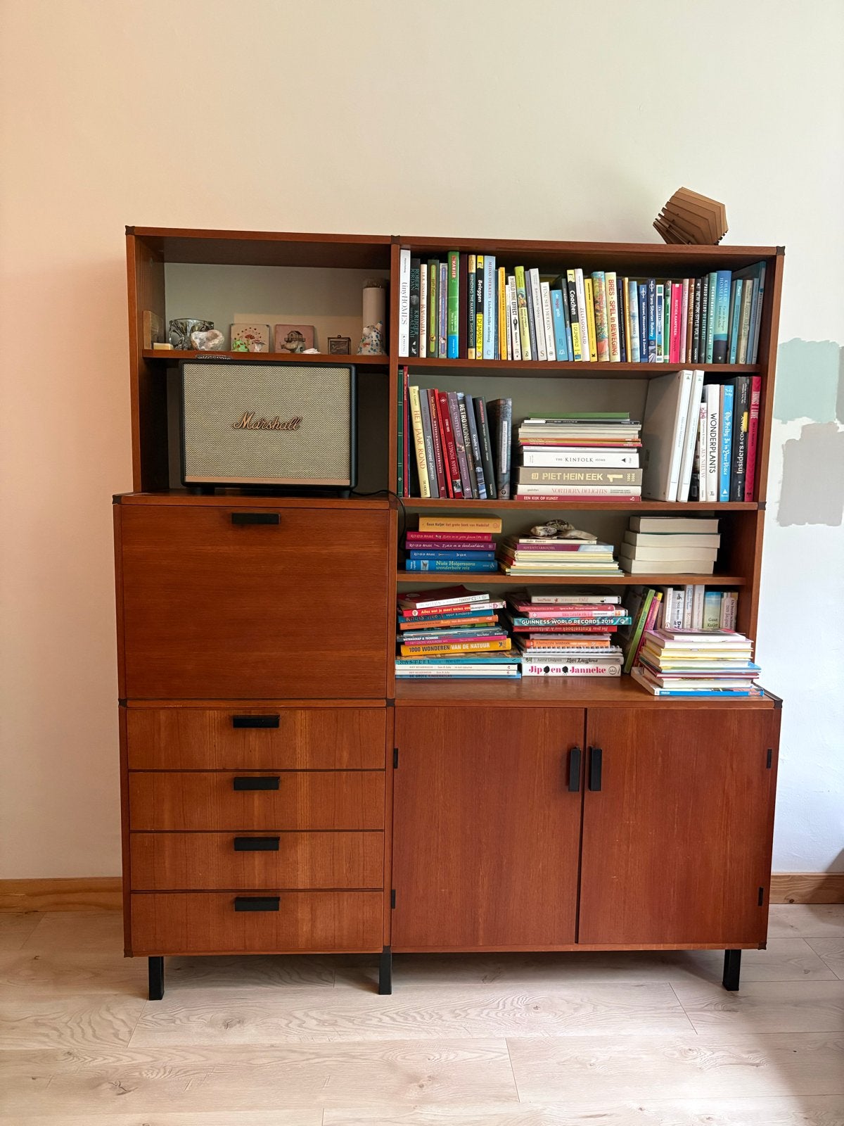 Pastoe kast Cees Braakman, made to measure, Ophalen, Gebruikt, 150 tot 200 cm, 150 tot 200 cm
