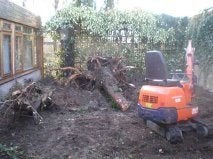 Tuin,#Graszoden aanleg , nieuw gazon met graszoden Tilburg, Ophalen of Verzenden, Nieuw, 20 m² of meer