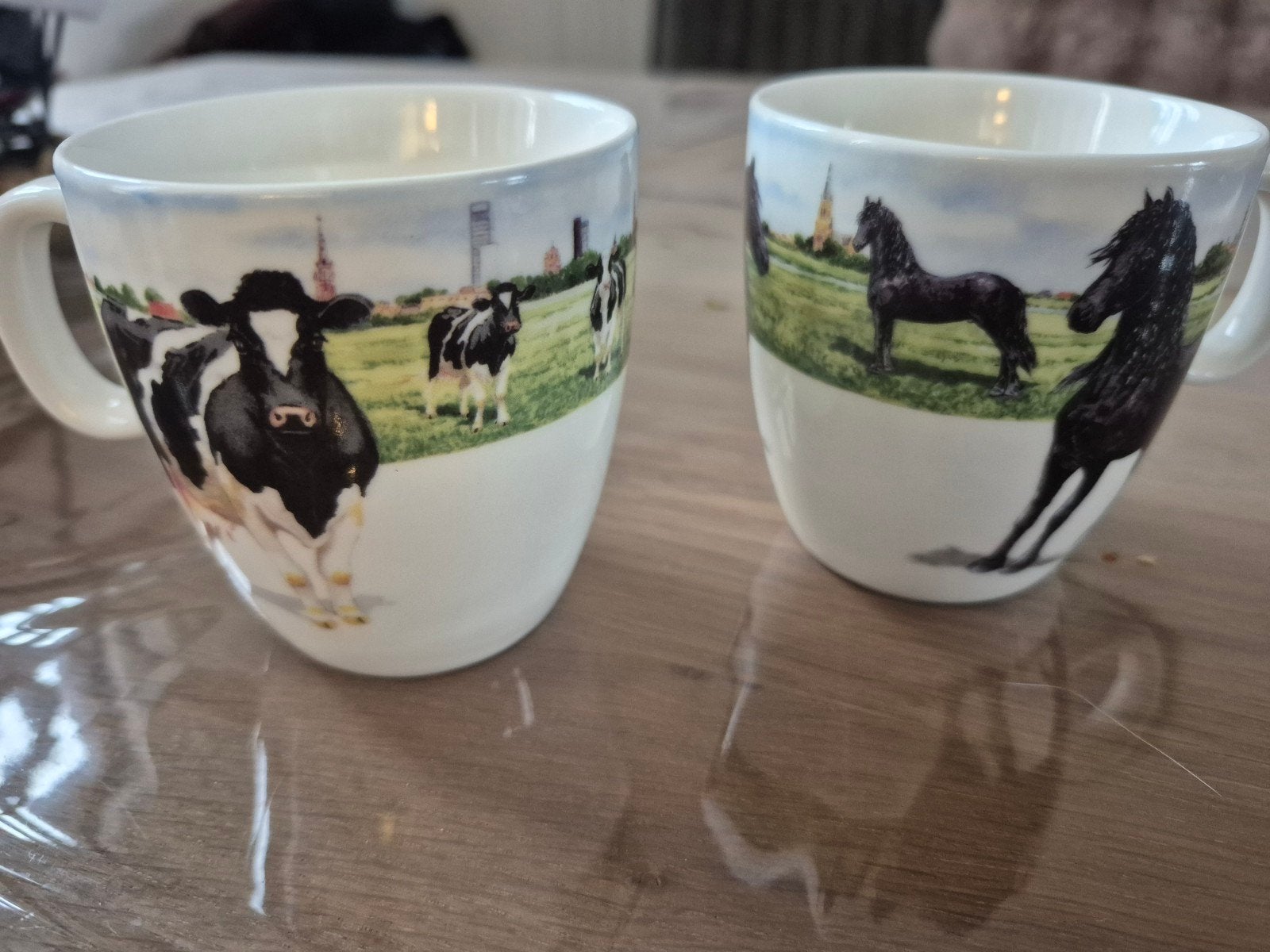 Wietse vd zee mokken, Ophalen of Verzenden, Zo goed als nieuw, Overige stijlen, Kop(pen) en/of Schotel(s)