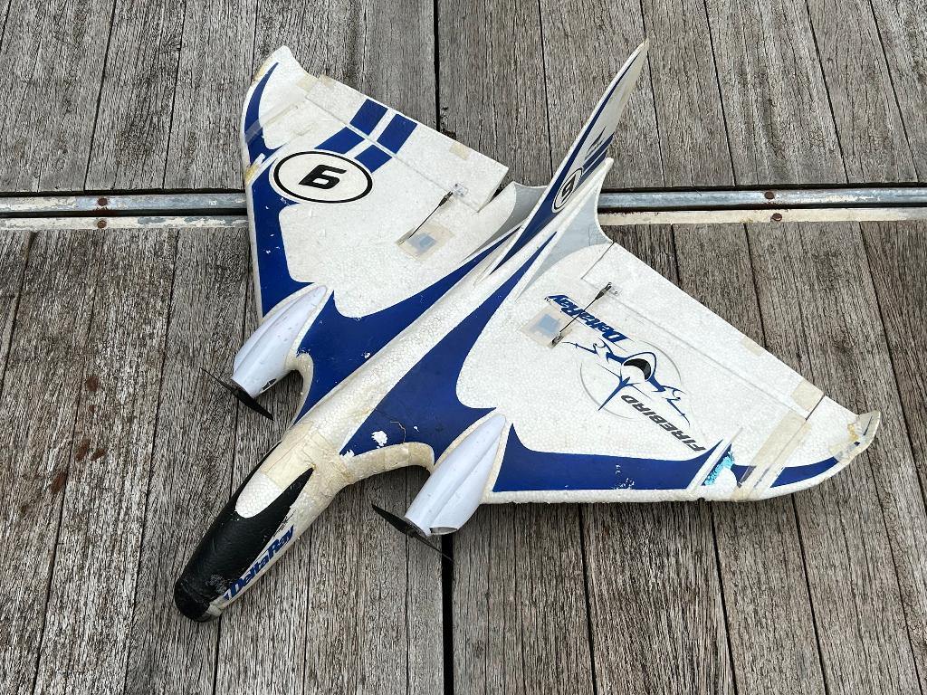 Horizon Delta Ray rc vliegtuig modelbouw, Ophalen of Verzenden