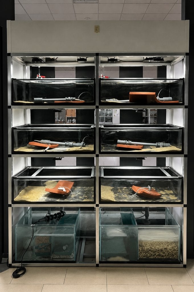 Grote schuine aquariumstelling van Stelling: 3x 170x80x235, Dieren en Toebehoren, Ophalen, Zo goed als nieuw, Leeg aquarium, Overige merken
