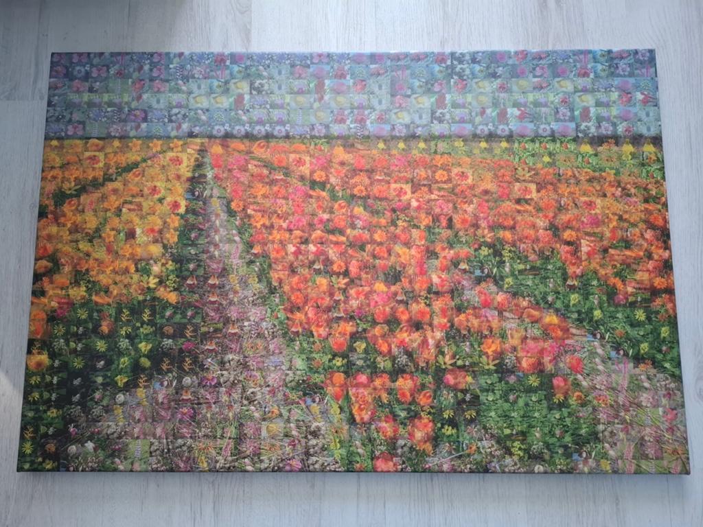 Schilderij bloemenveld mozaïek, Ophalen, Schilderij, 75 cm of meer