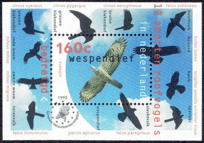 Nederland 1995, roofvogels, blok, Postzegels en Munten, Verzenden, Na 1940, Postfris