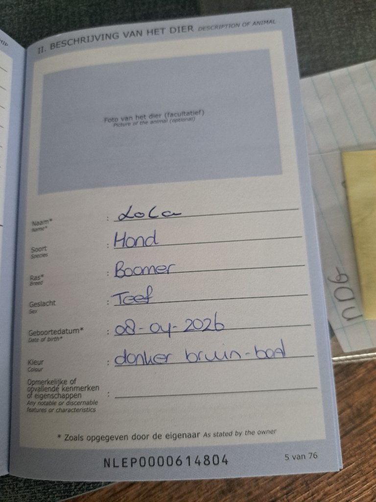 Hond, Parvo, 15 weken tot 1 jaar, Overige rassen, Teef