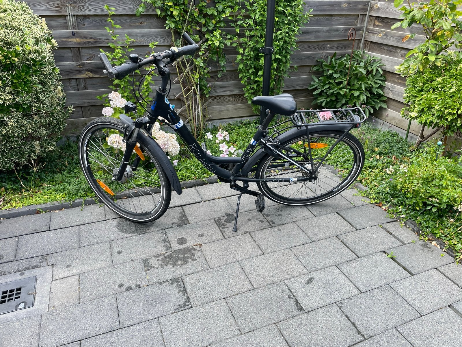 Raleigh fiets, Ophalen, Gebruikt, 26 inch of meer, Versnellingen