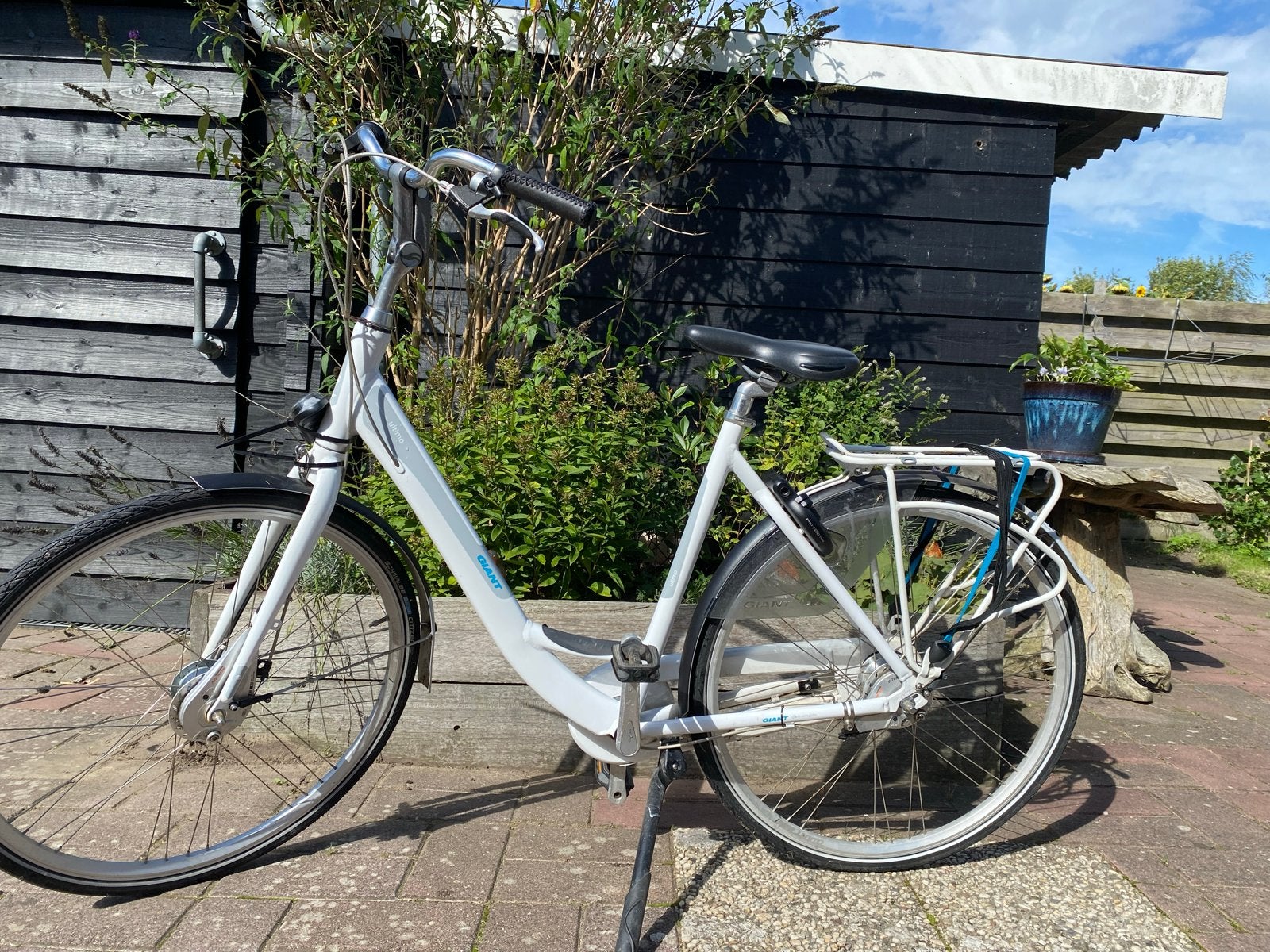 Giant Damesfiets - Comfortabel en Stijlvol, Ophalen, Velgrem, Giant, 50 tot 53 cm