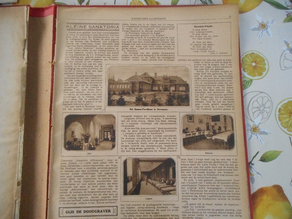 Zevenaar. Emma-Paviljoen. 1924., Ophalen of Verzenden, 1920 tot 1940, Nederland, Knipsel(s)