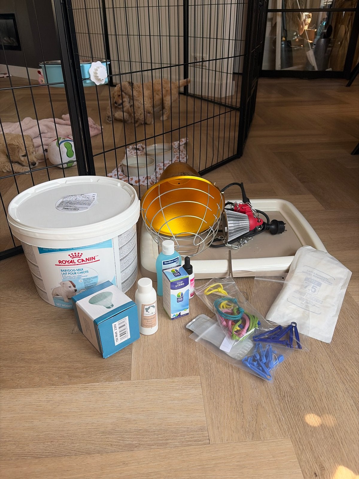 Accesoires bevalling hond voor pups, Ophalen, Nieuw