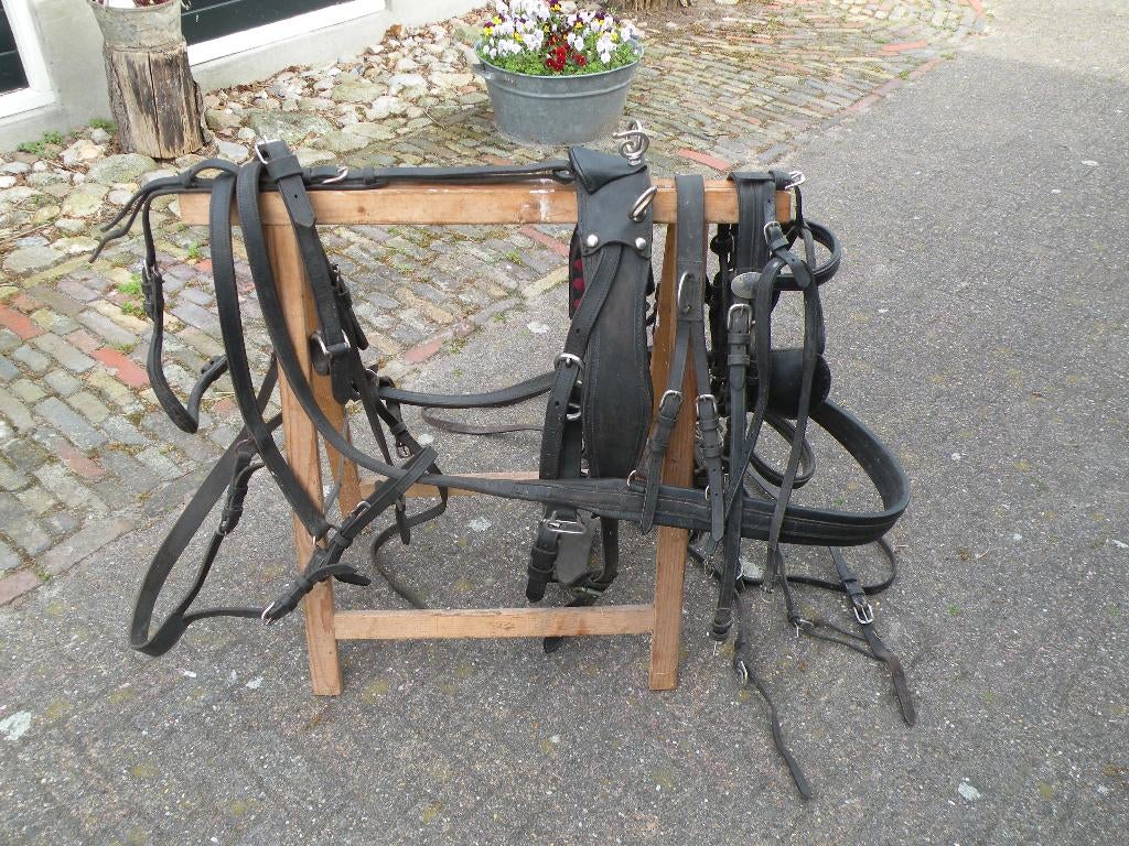 mentuig enkelspan pony, Ophalen, Gebruikt, Overige soorten