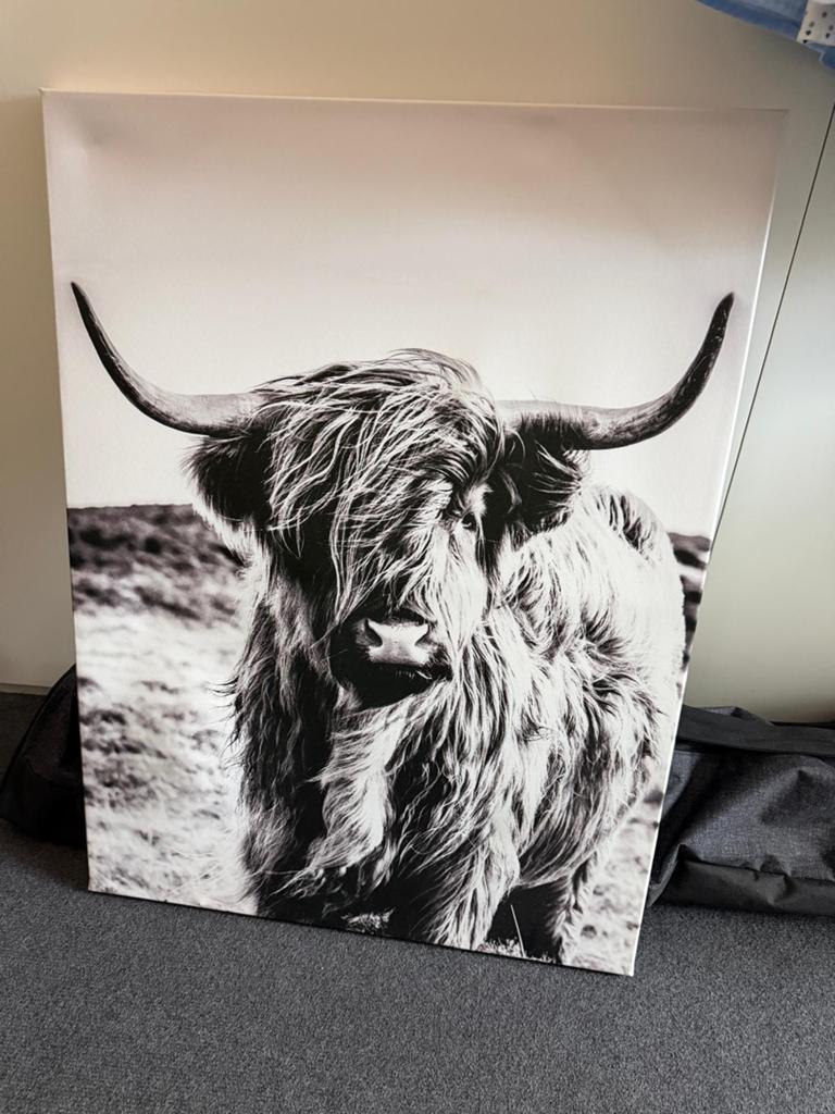 Schilderij Schotse Hooglander Zwart-Wit Canvas, Ophalen of Verzenden, Zo goed als nieuw, Schilderij, 75 cm of meer
