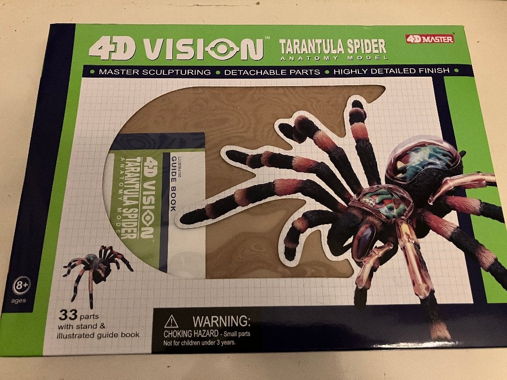 Anatomisch model spin, Verzamelen, Ophalen of Verzenden, Zo goed als nieuw, Insect, Opgezet dier