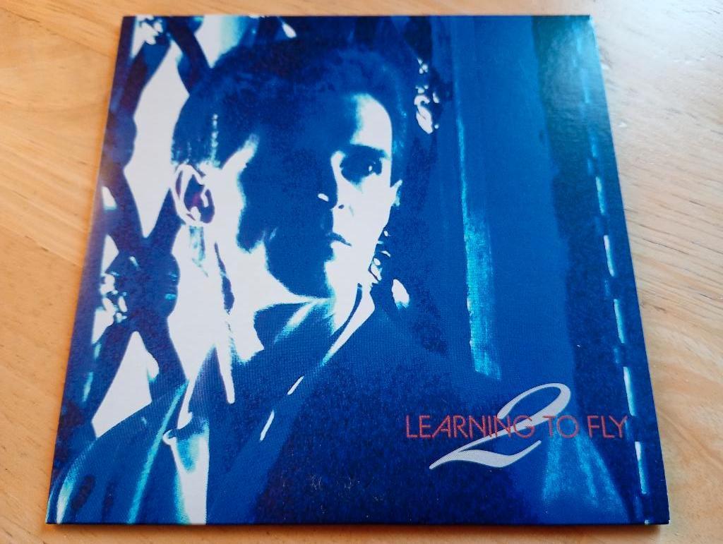 CD Iain Matthews - Learning To Fly, Cd's en Dvd's, Cd's | Rock, Zo goed als nieuw, Poprock, Verzenden