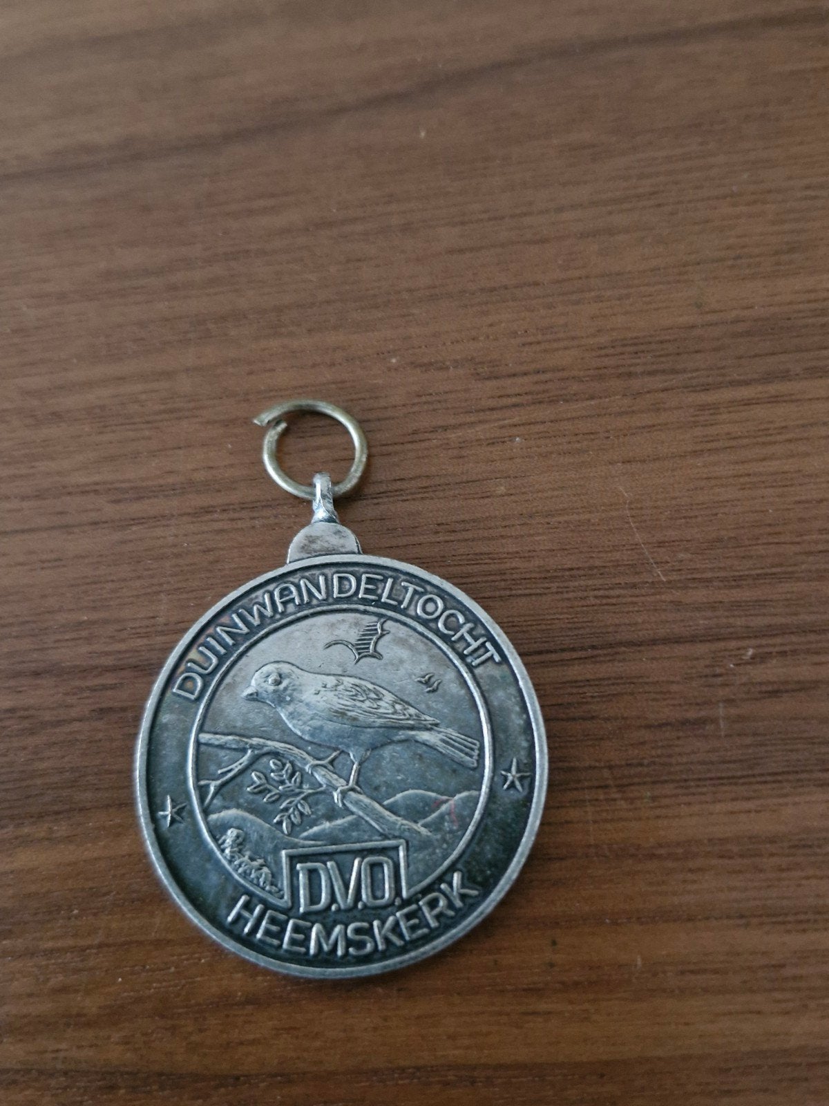043 Vintage Duinwandeltocht Heemskerk medaille DVO, Ophalen of Verzenden