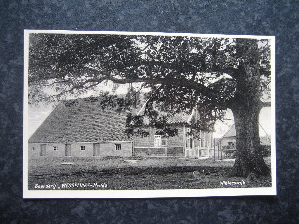 WINTERSWIJK  MEDDOO  Boerderij Wesselink, Ophalen of Verzenden, 1940 tot 1960, Gelderland