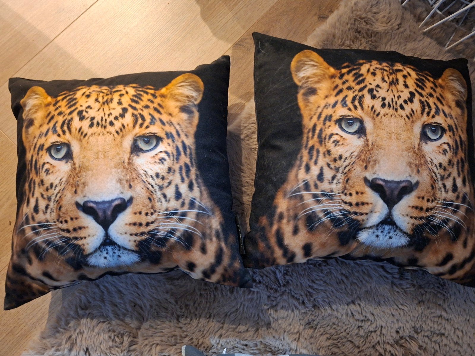 Set van 2 sierkussens met luipaardprint, Meerkleurig, Met print, Vierkant, Ophalen of Verzenden