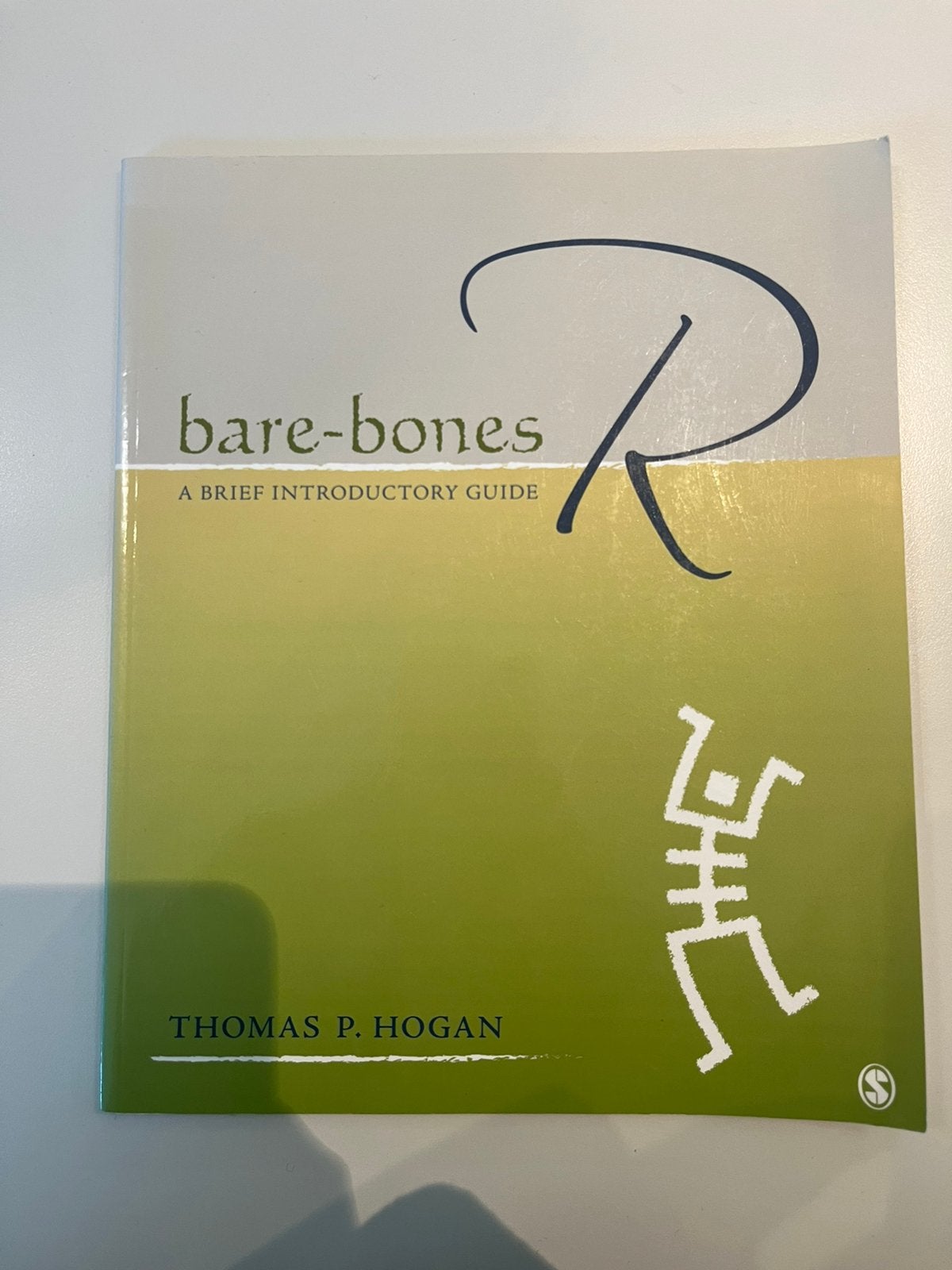 Bare-Bones R: A Brief Introductory Guide, Ophalen of Verzenden, Beta