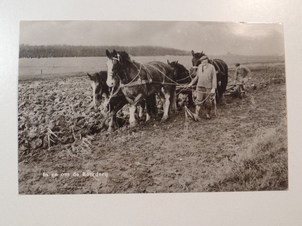 Paarden voor de ploeg // op en om de boerderij, Verzamelen, Ansichtkaarten | Nederland, Ophalen of Verzenden, Gelopen, Friesland