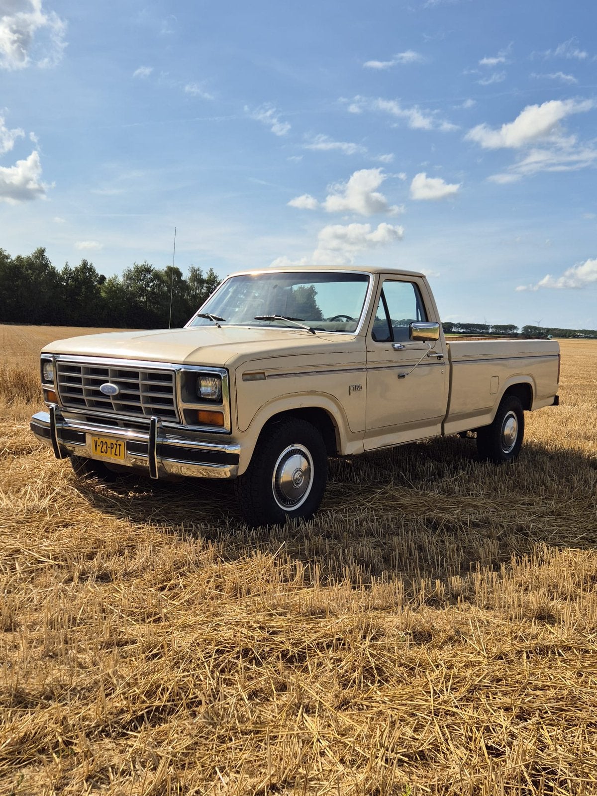 Ford 1984 bullnose orginele truck!, 5000 cc, 8 cilinders, 133 pk, Beige