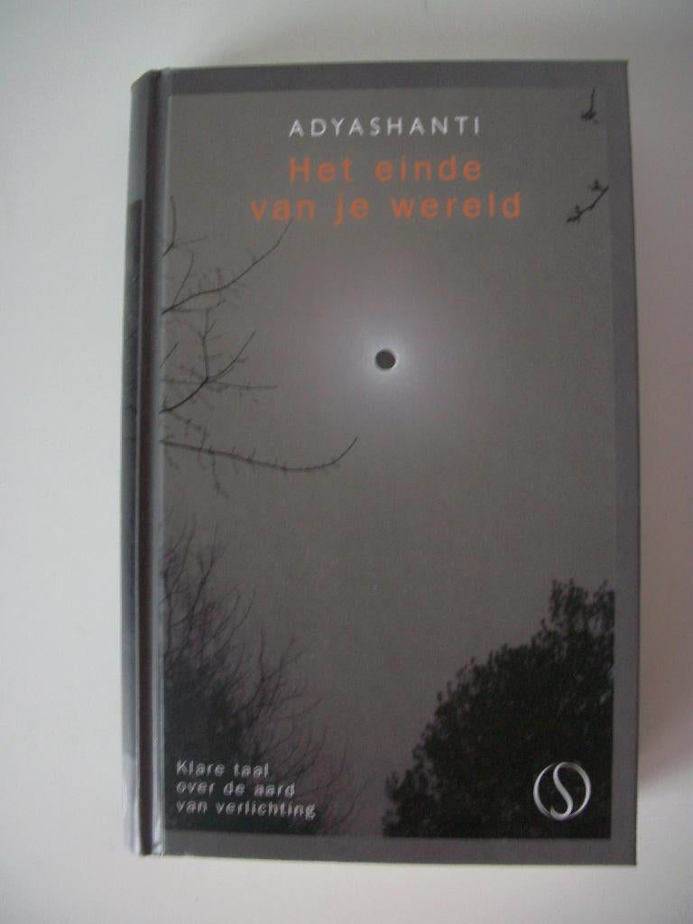 Het einde van je Wereld - Adyashanti - gebonden - zgan, Boeken, Gelezen, Achtergrond en Informatie, Spiritualiteit algemeen, Adyashanti