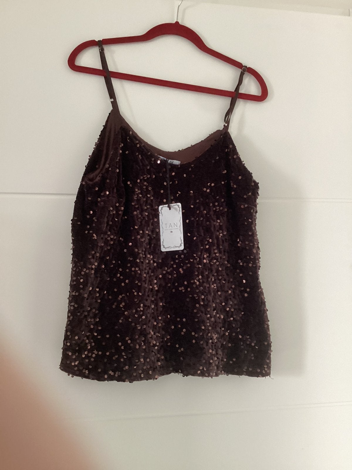 Nieuwe bruine pailletten top van TAN, maat M, Kleding | Dames, Tops, Maat 38/40 (M), Bruin, Nieuw, Ophalen of Verzenden