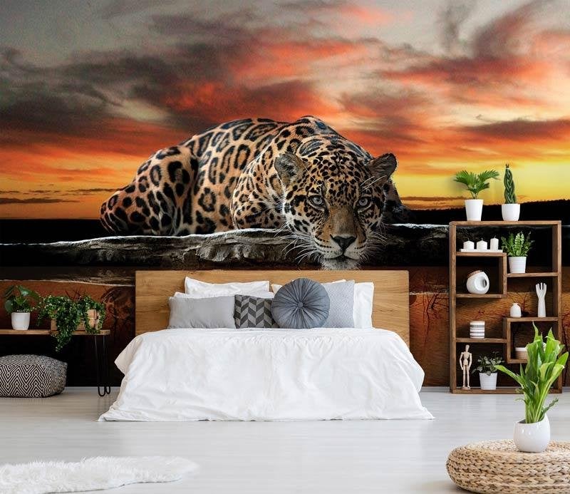 Fotobehang / Behang - Panter - Luipaard, Huis en Inrichting, Stoffering | Behang, Fotobehangkoning.nl, Hoogeveen, Oranje, Info@fotobehangkoning.nl