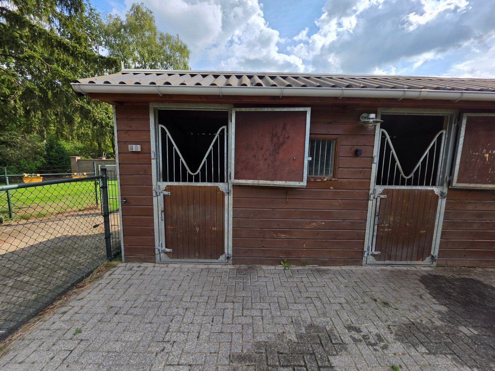 Gezocht weide/stal maatje, Dieren en Toebehoren