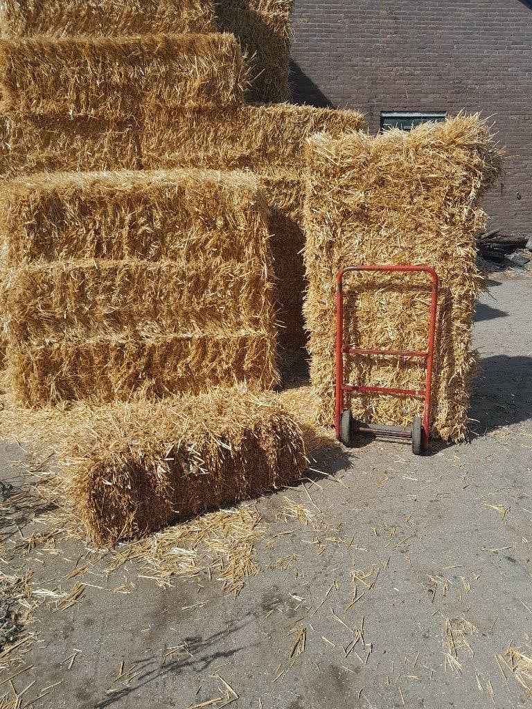 Mooi stro in midi balen van 100kg en ook hooi, Dieren en Toebehoren, Dierenvoeding, Ophalen of Verzenden, Vee