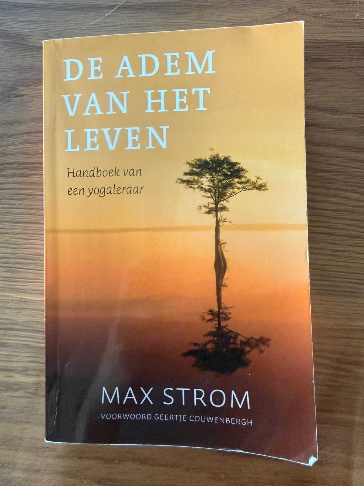 De adem van het Leven - Max Strom, Ophalen of Verzenden, Zo goed als nieuw, Meditatie of Yoga, Achtergrond en Informatie
