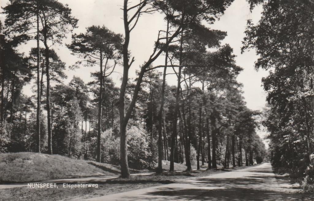 NUNSPEET Elspeeterweg, Verzenden, 1960 tot 1980, Gelopen, Gelderland