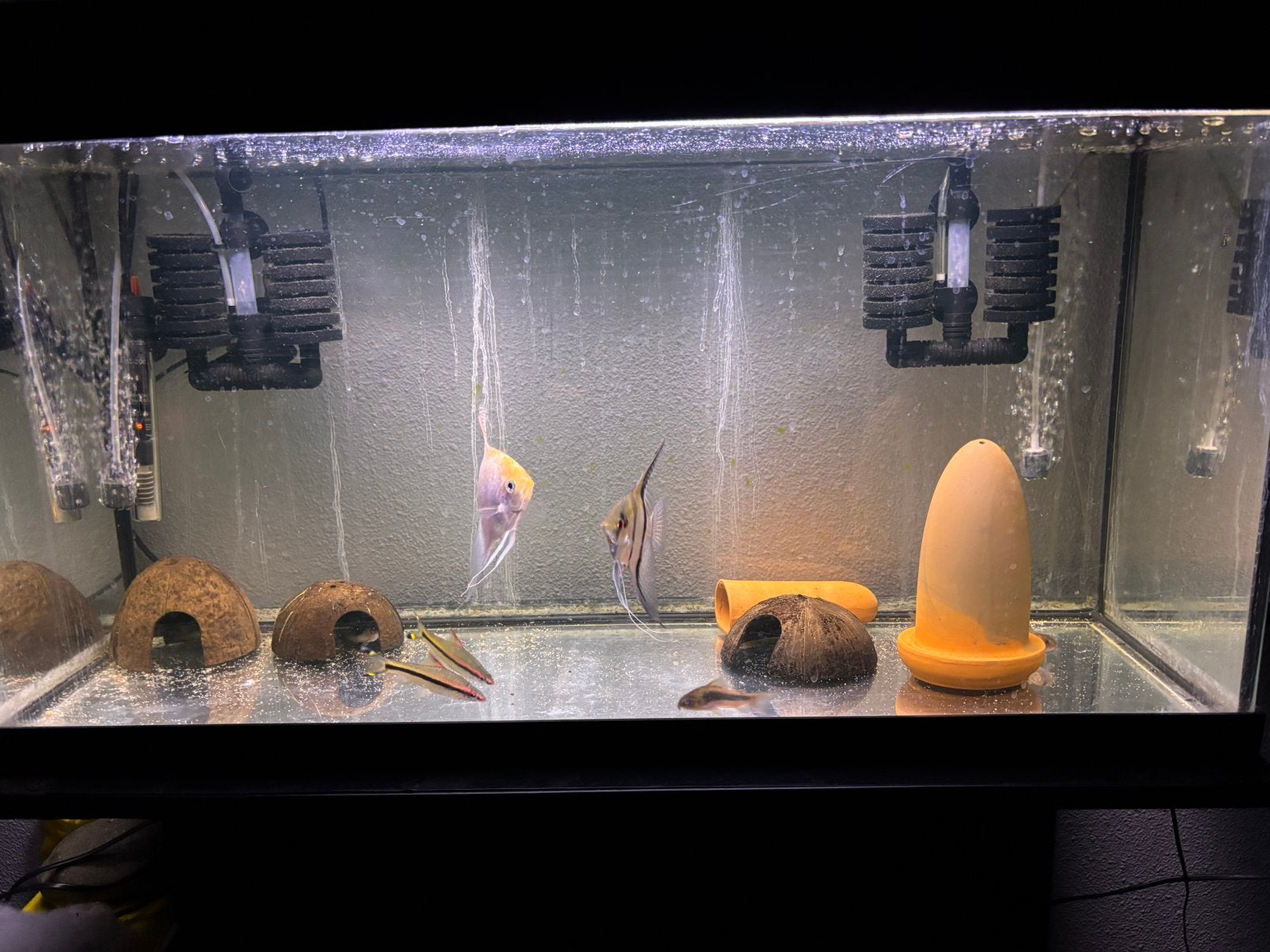 Aqaruin plus toebehoren, Dieren en Toebehoren, Ophalen, Gebruikt, Gevuld zoetwateraquarium, Inclusief vissen