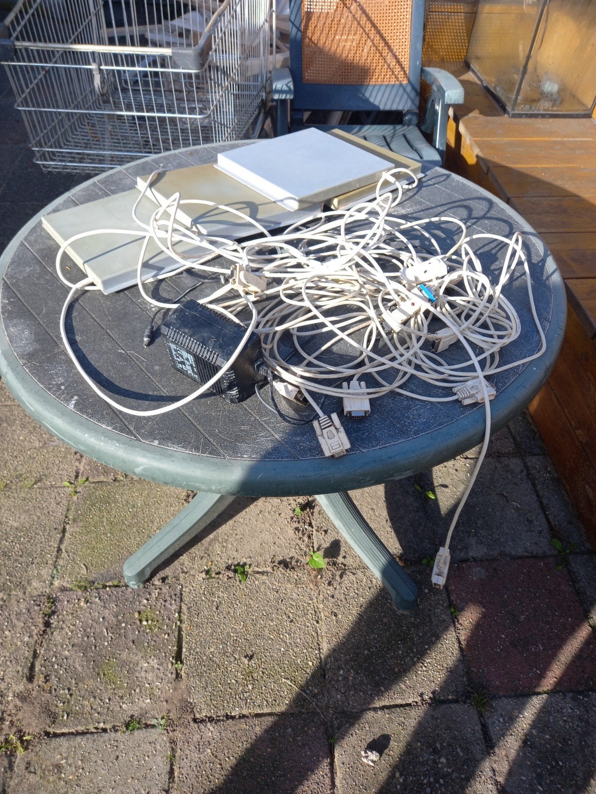 Bricon 4  2 veldantennes met toebehoren., Mannelijk, Postduif