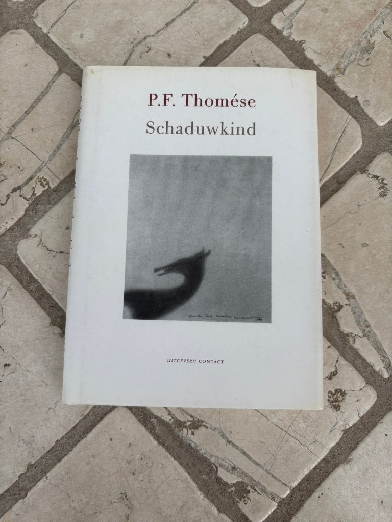 Schaduwkind van p.f. Thomése: verhaal over verlies en rouw!, Boeken, Ophalen of Verzenden, Zo goed als nieuw, P.f. Thomése