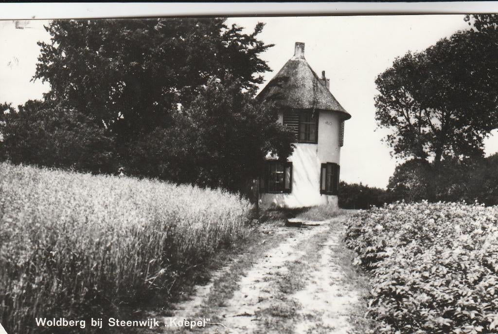steenwijk- koepel woldberg, Ophalen of Verzenden, 1940 tot 1960, Overijssel