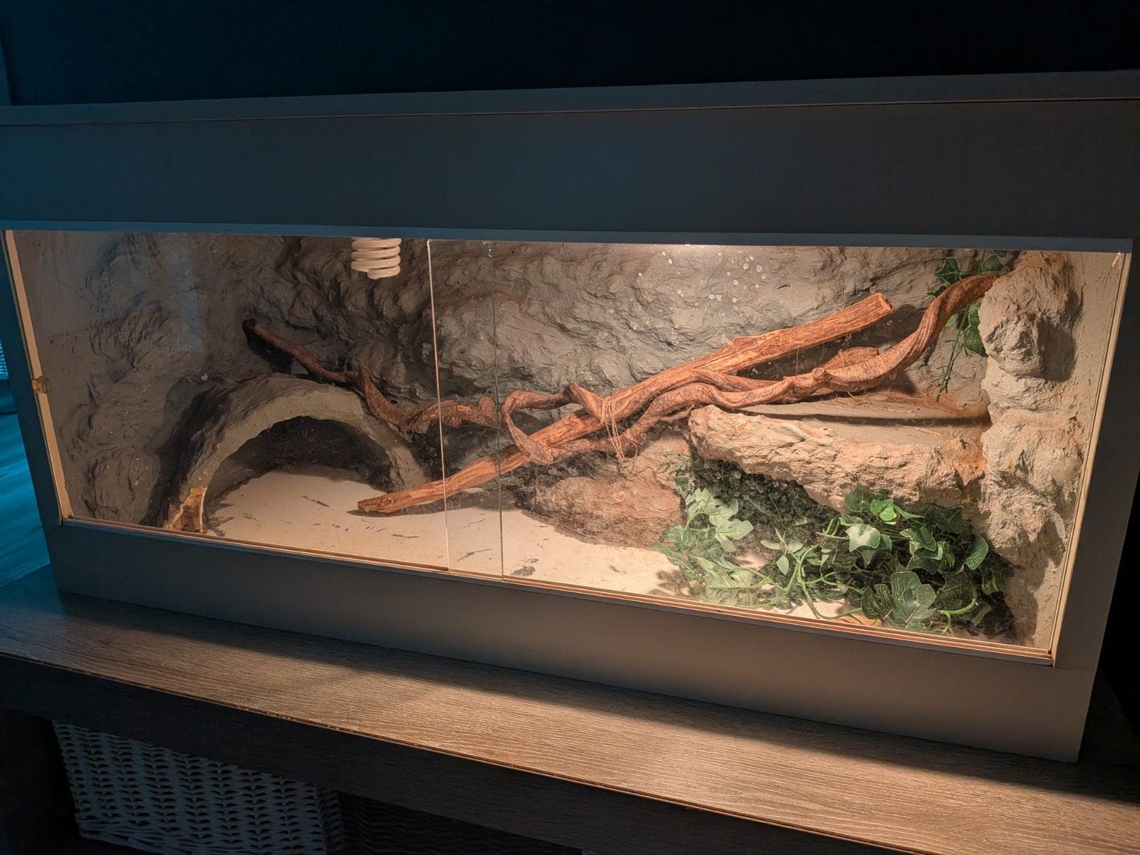 Terrarium – opknapper, Ophalen of Verzenden, Gebruikt, Verlichting