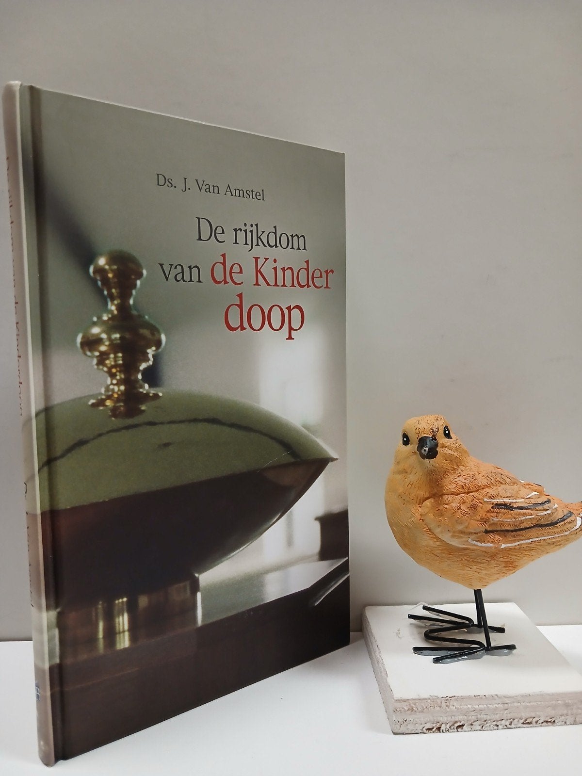 Amstel, Ds. J. van; De rijkdom van de kinderdoop, Ophalen of Verzenden, Gelezen, Christendom | Protestants