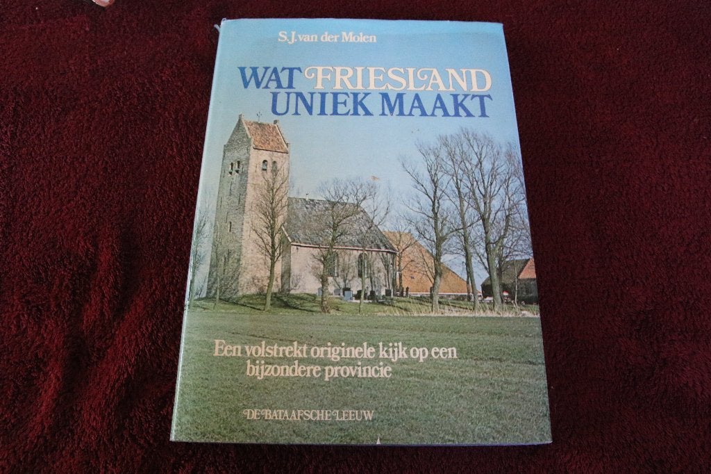 wat Friesland uniek maakt, Boeken, Ophalen of Verzenden, Gelezen