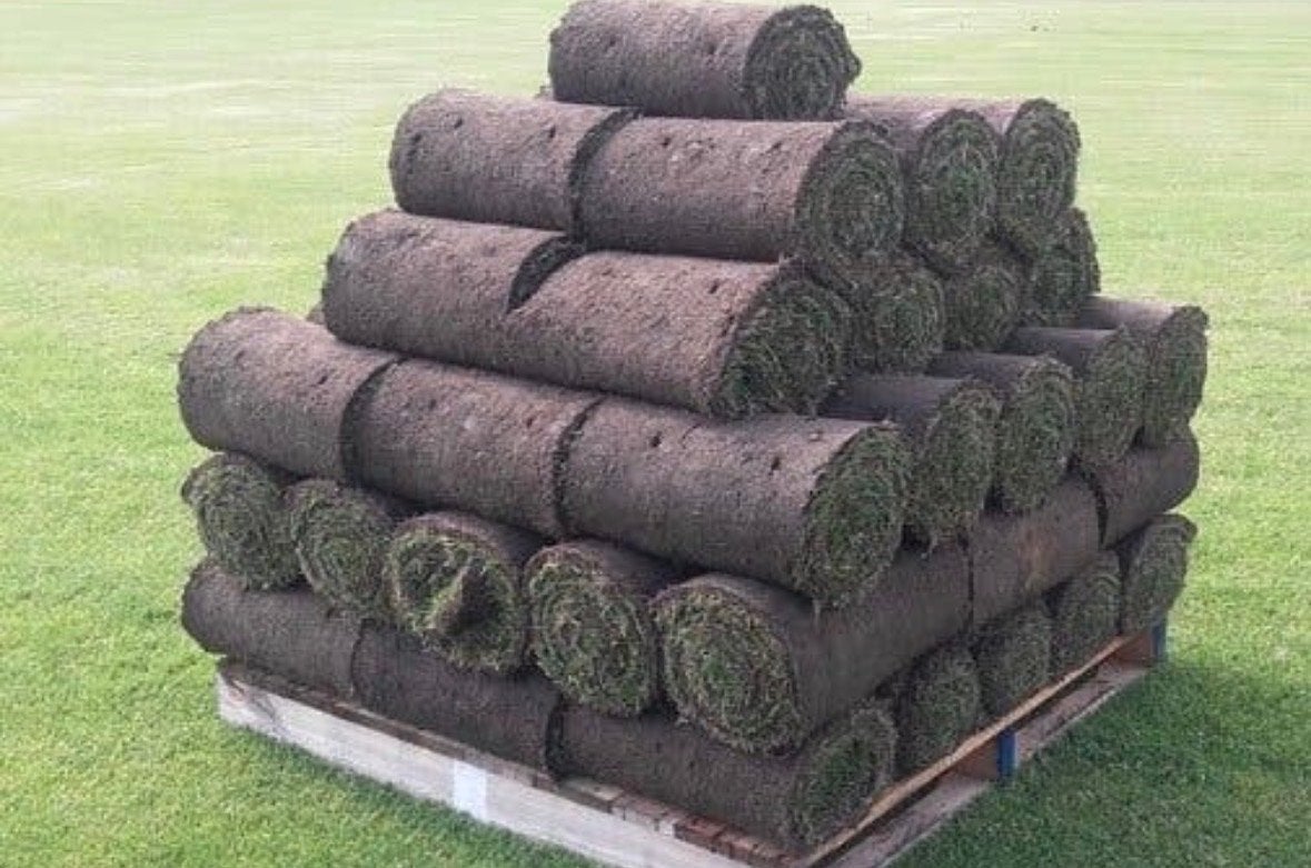 Graszoden direct af te halen, Ophalen, Nieuw, 20 m² of meer, Gras