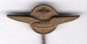 Koninklijke luchtmacht koper speldje ( P_076), Verzenden, Zo goed als nieuw, Overige onderwerpen, Speldje of Pin