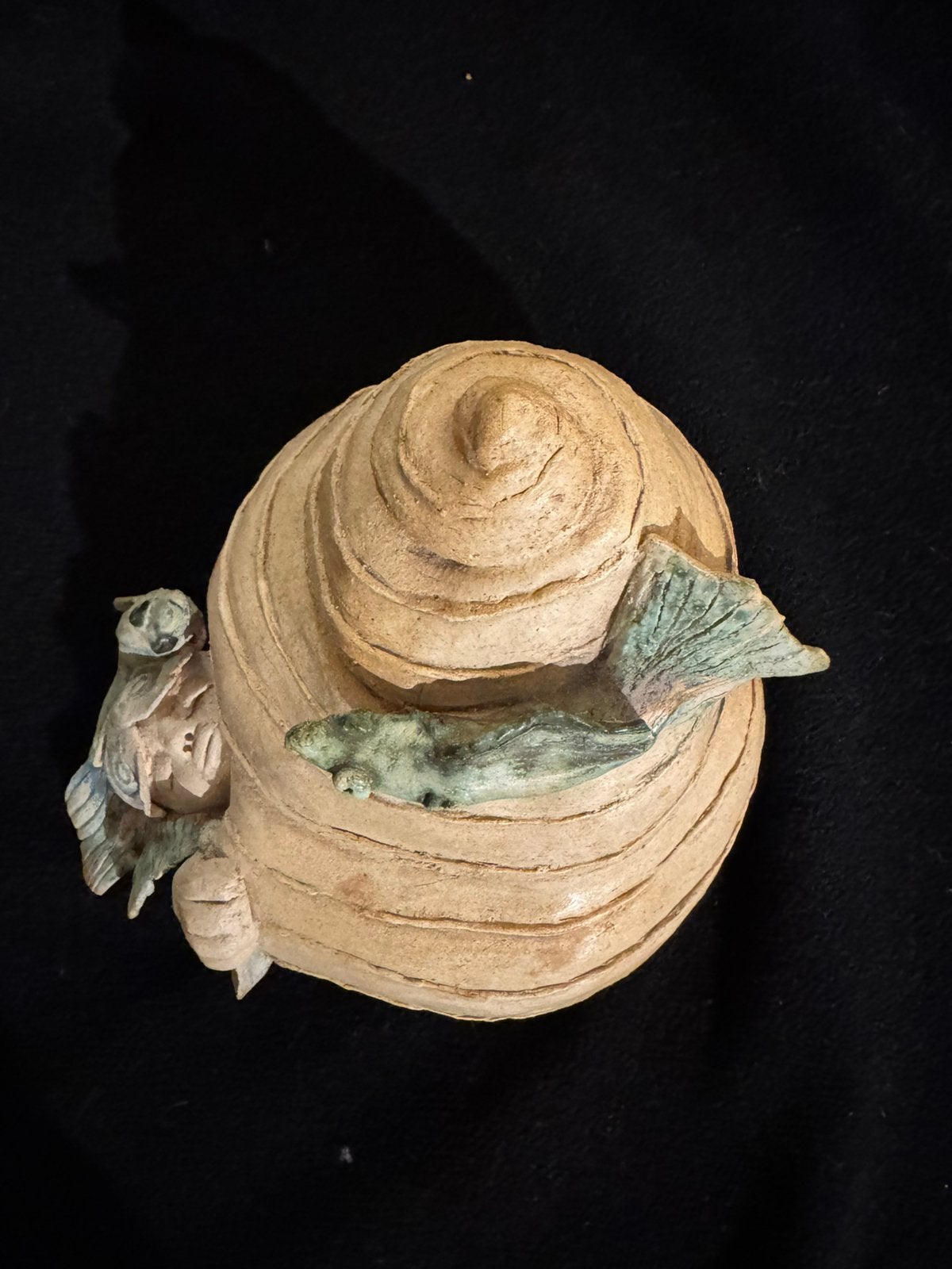 Natasha Dirakeva, Shell Dwellers, Ophalen