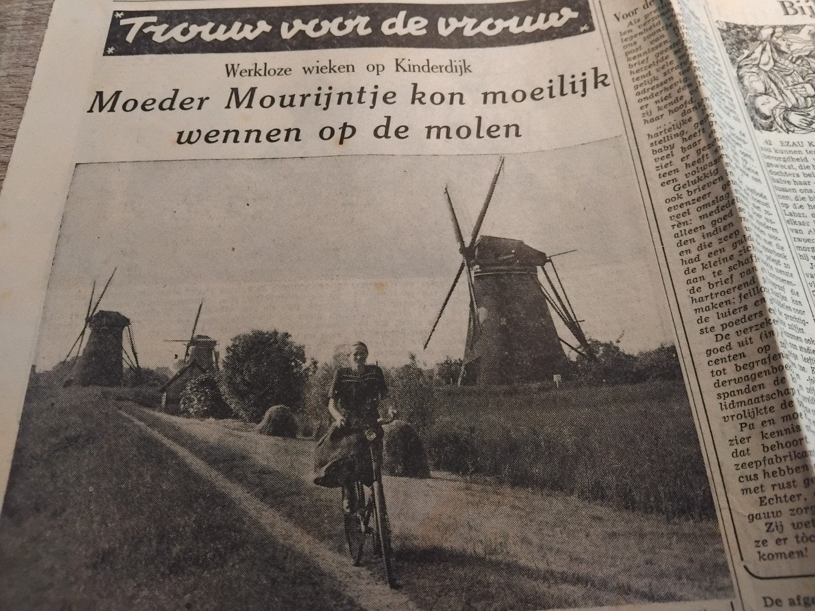 21x krantenartikelen over molens - Unieke collectie, Verzamelen, Ophalen of Verzenden, Krant