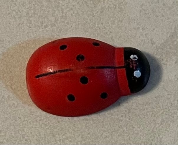 lieveheersbeestje decoratie, Verzamelen, Ophalen of Verzenden, Gebruikt