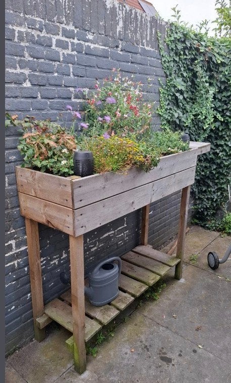 Houten kruidenkweekbak, Ophalen, Kweekbak