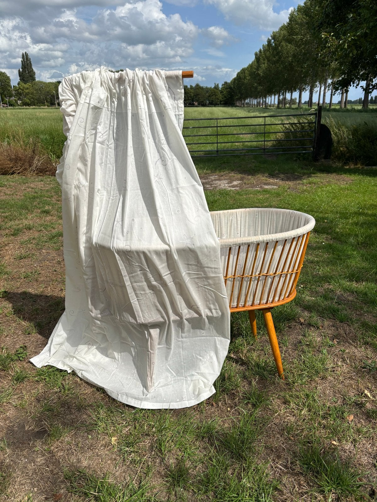 Vintage Wieg Rotan met Hemelstok en Matrasje, Kinderen en Baby's, Ophalen, Gebruikt, Wieg