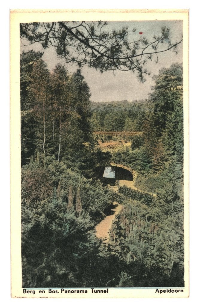 940606 Apeldoorn Berg en Bos 1955 Gelopen met Postzegel