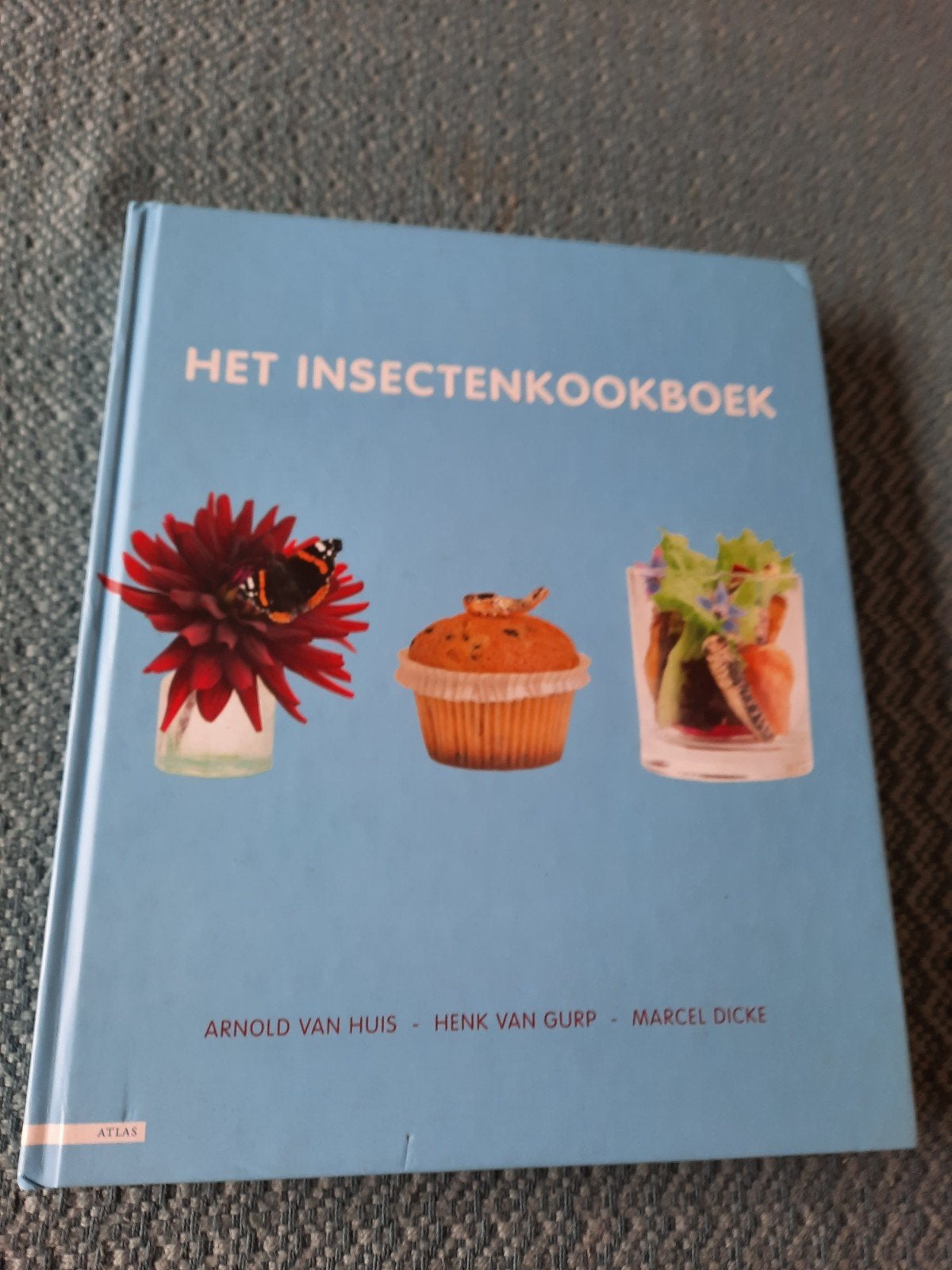 Het Insectenkookboek - Hardcover - 192 blz. - Prima staat, Ophalen of Verzenden, Zo goed als nieuw