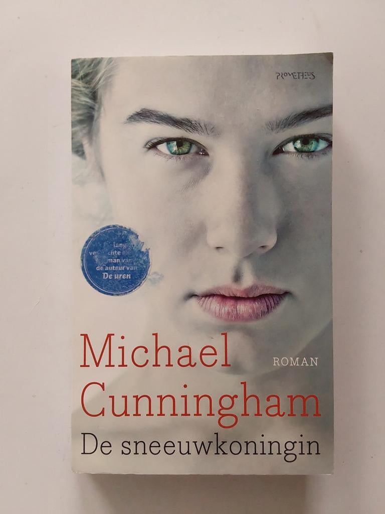 Michael Cunningham : De sneeuwkoningin, Gelezen, Ophalen of Verzenden, Michael Cunningham, Amerika