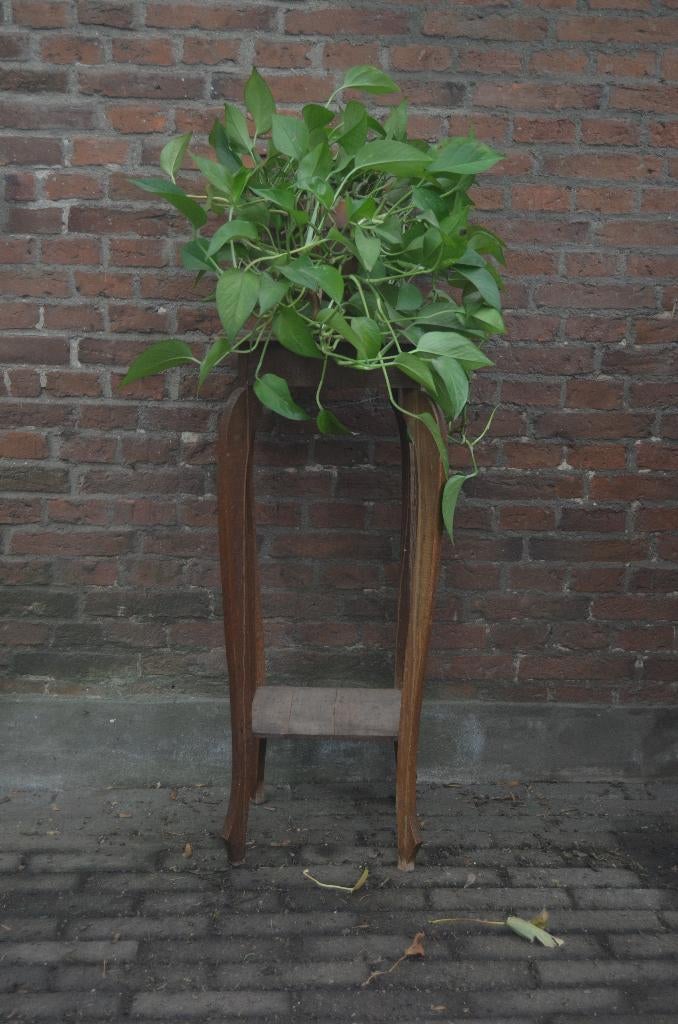 Prachtige oude plantentafel, Ophalen, Minder dan 55 cm, Gebruikt, Vierkant